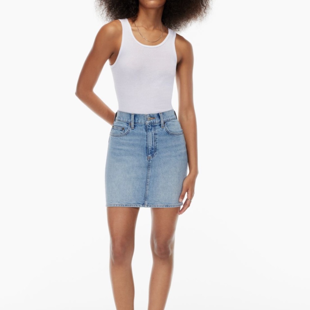 Aritzia- Denim Forum pin up skirt